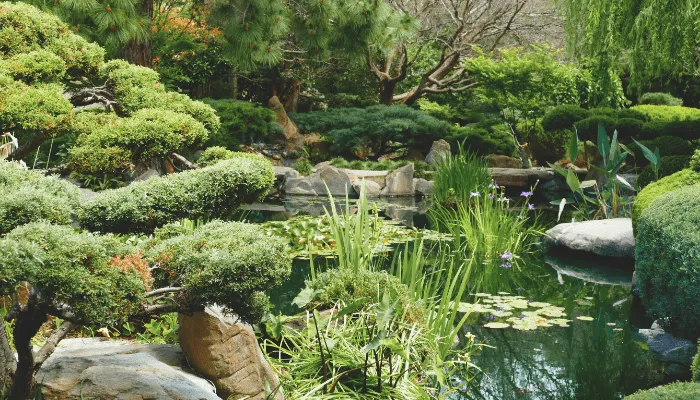 meditation garden