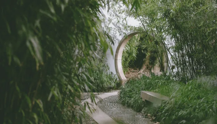 garden design ideas