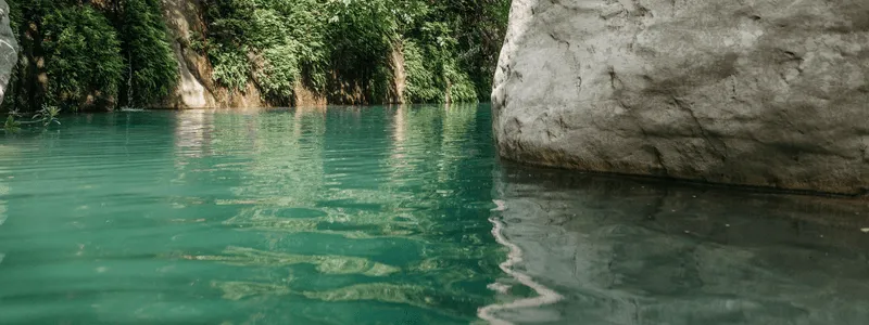 natural pool