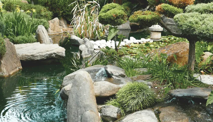garden meditation