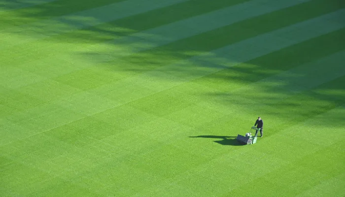 how to make a good lawn