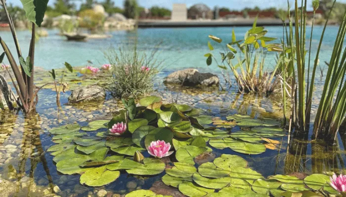 Como Fazer um Lago Ornamental