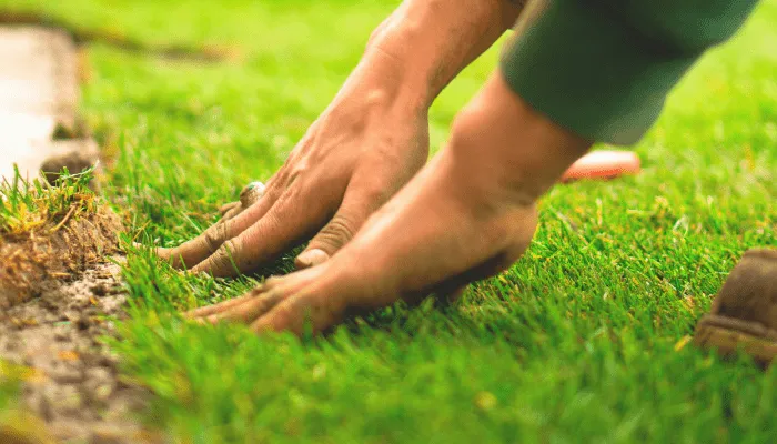 average cost of landscaping