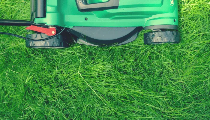average cost of landscaping