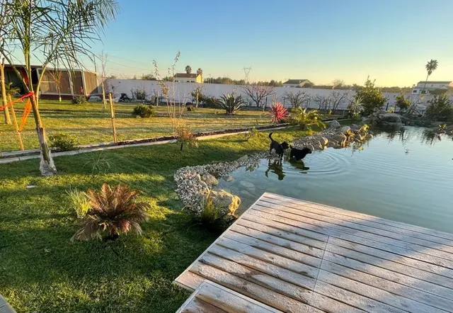 De "Resort de Patos" a Engenharia Sustentável