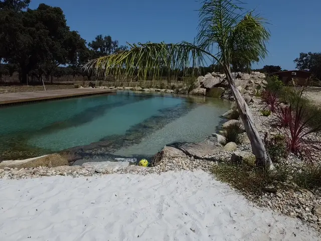 Quando o Entusiasmo Nata Mais Rápido que a Água