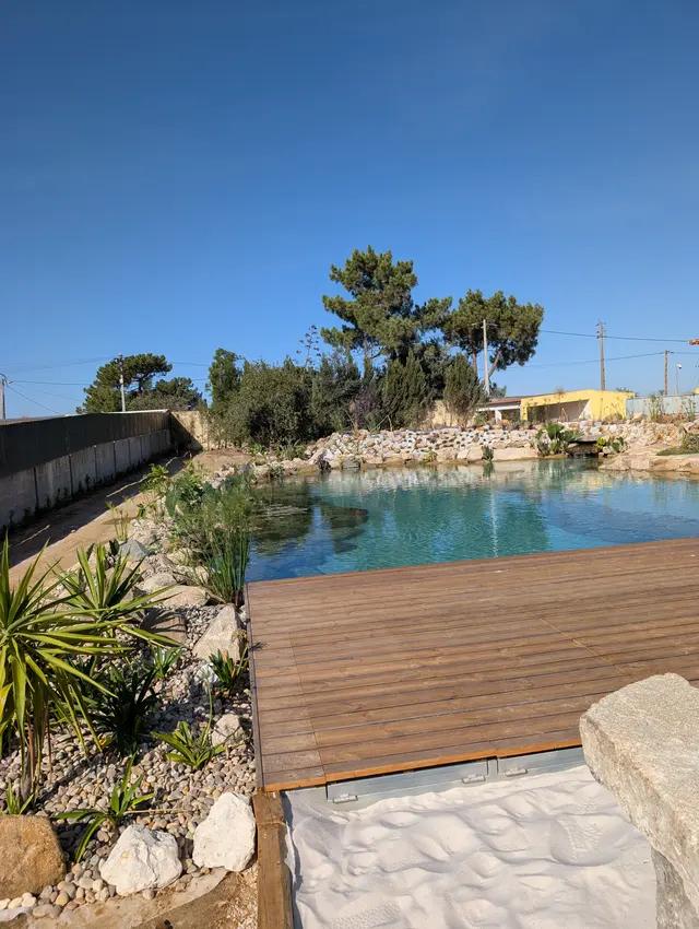 De 132m² a 292m²: O Lago de Nado dos Sonhos