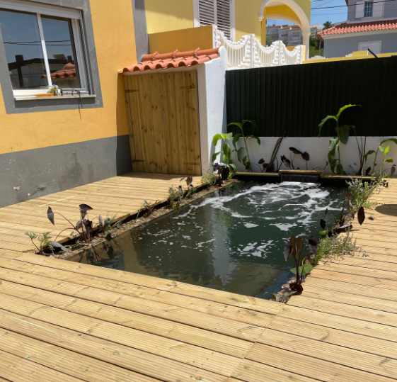 Lagos Ornamentais em Portugal
