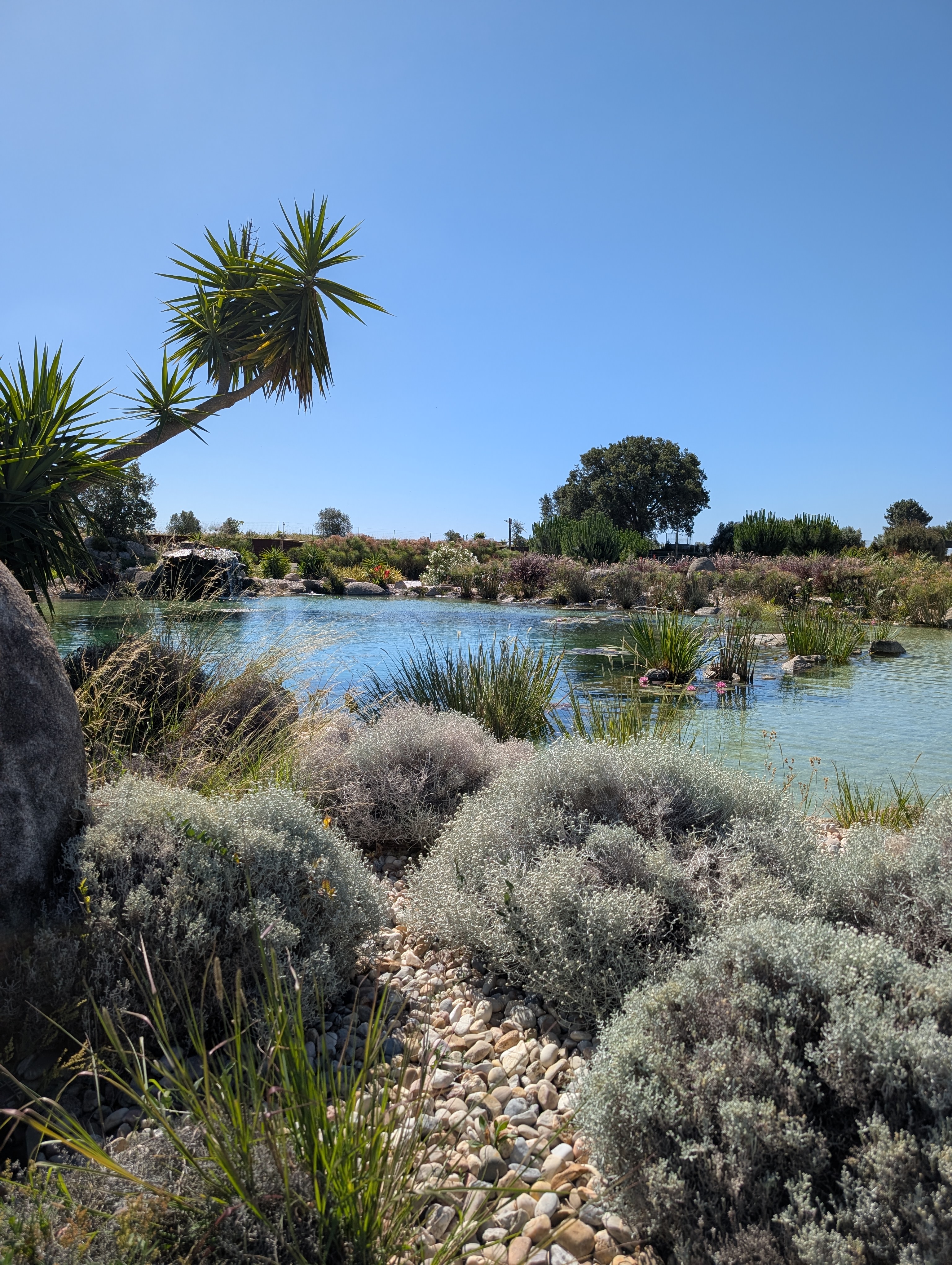 Design e construção de jardins de luxo em Portugal - Oásis Biosistema