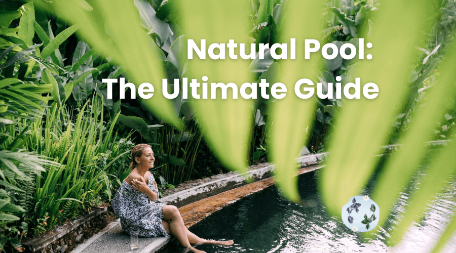 Natural Pool: What Is It, Benefits, and Costs Explained