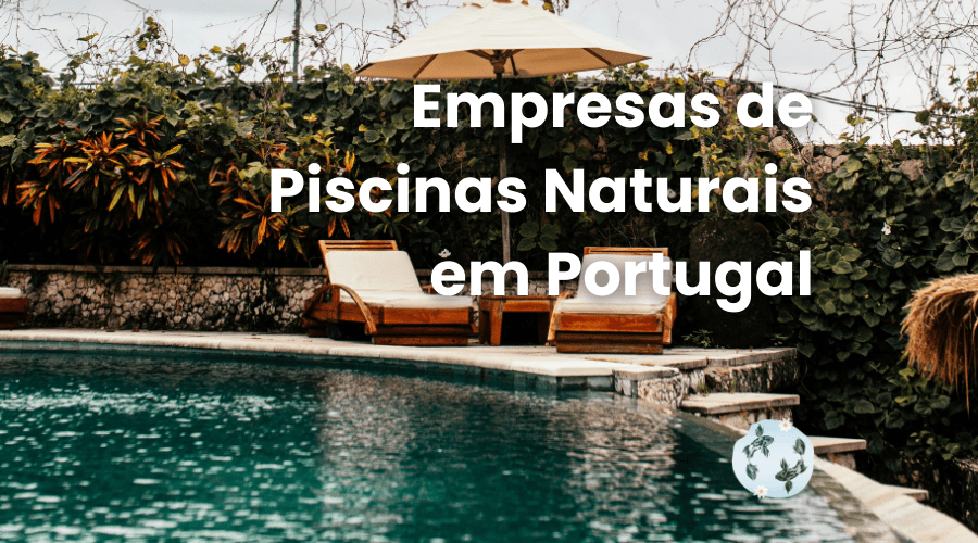 Principais Empresas de Piscinas Naturais em Portugal para Soluções de Natação Sustentáveis
