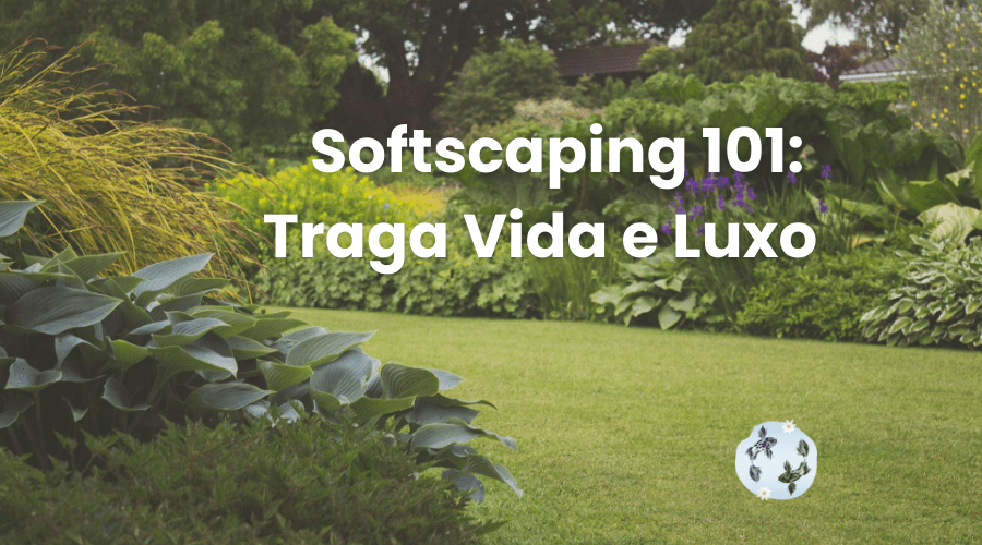 Softscaping 101: Traga Vida e Luxo para o Seu Espaço Externo