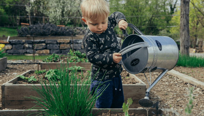 O Guia Definitivo de Jardinagem: Como Começar, Cultivar e Prosperar