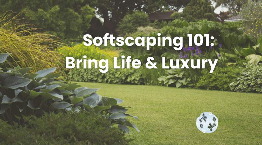 Softscaping 101: Bring Life and Luxury to Your Outdoor Space