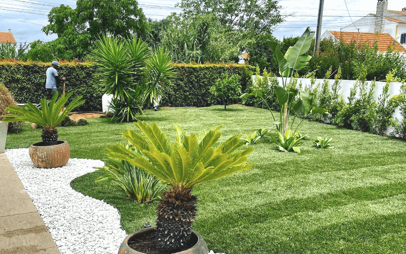 oásis biosistema natural pools and gardens