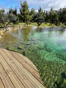 natural pool with a terrace