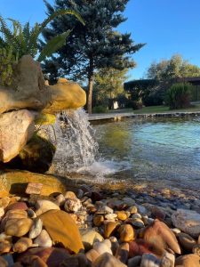natural pool with a waterfall