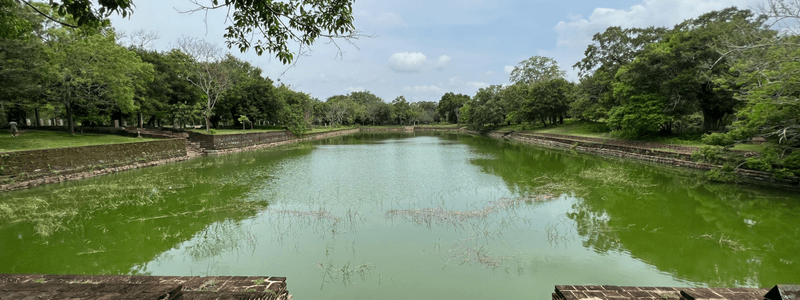 Manutenção de Piscinas naturais