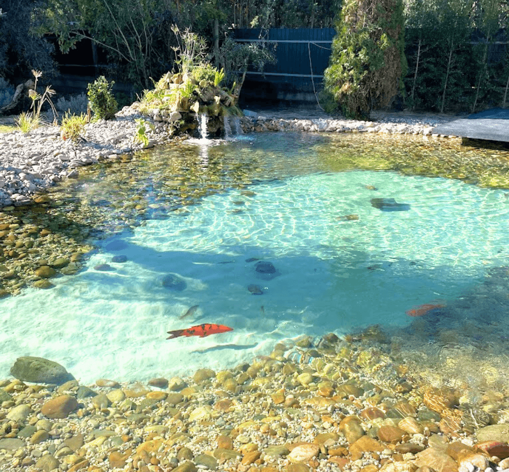 oasis biosistema natural pool