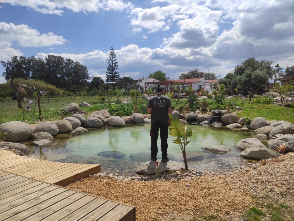 natural pool maintenance