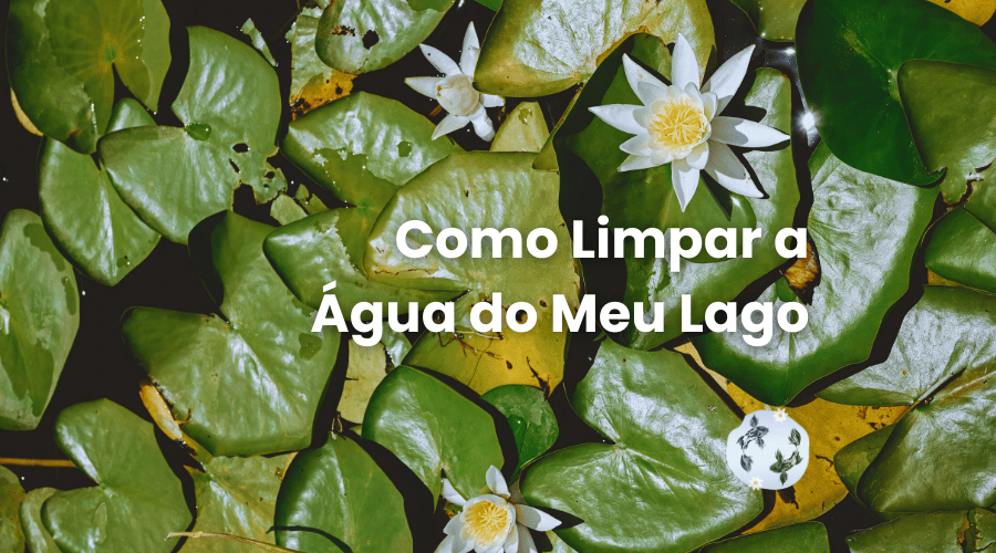 como limpar a água do meu lago