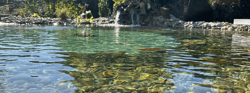 piscina com gruta