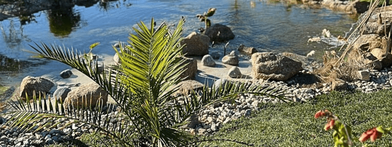 oasis biosistema landscaping