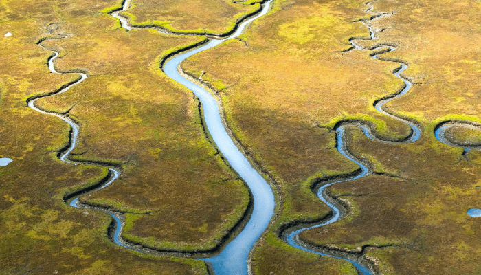 natural lazy river