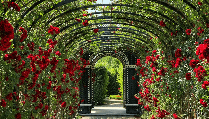 Ideias para o Jardim