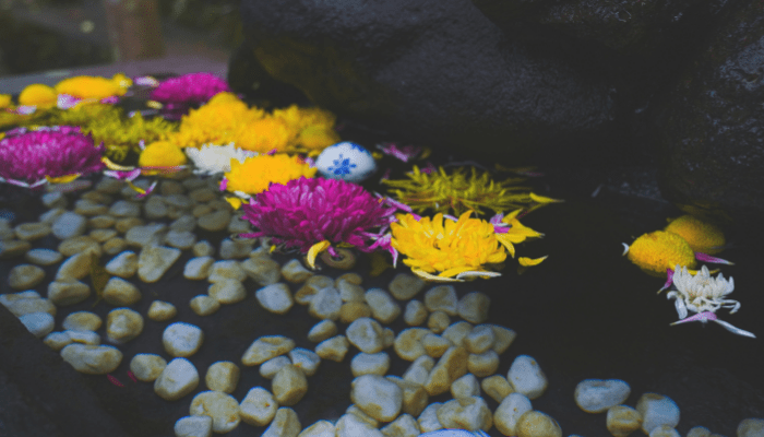 flowers in a pool