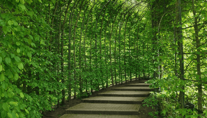 Ideias para o Jardim