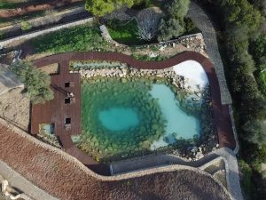 oásis biosistema natural pool