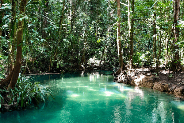lagoon pools