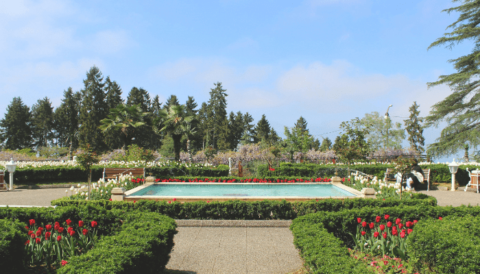 raised gardens