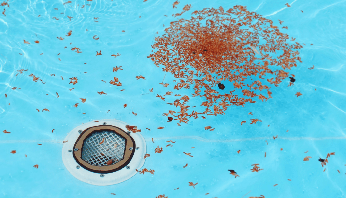 Essenciais para Piscinas