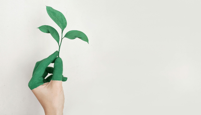 sustainability