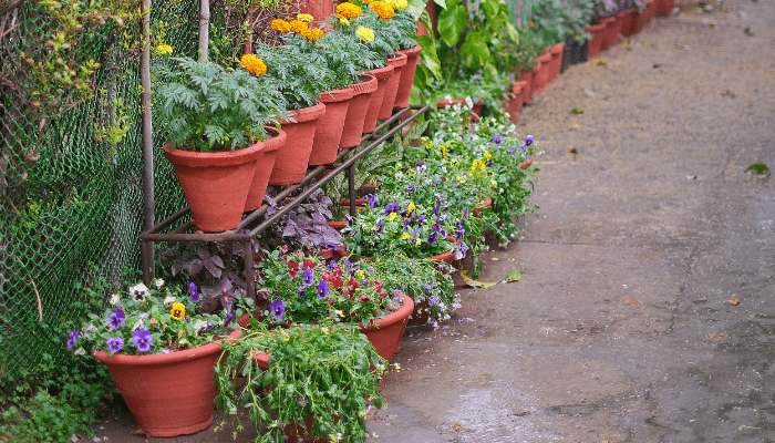 jardins elevados