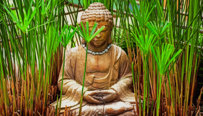 meditation garden
