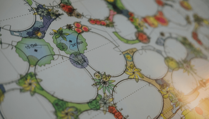 landscape design