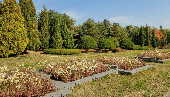 jardins elevados
