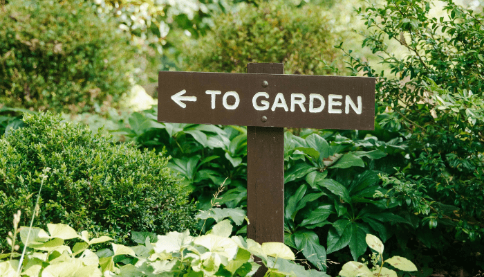 raised garden