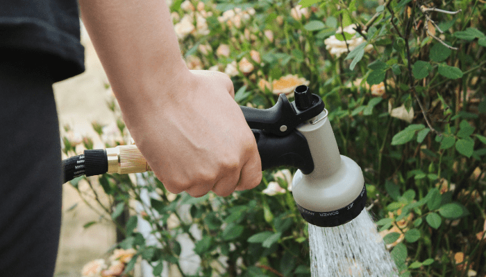 Melhores Mangueiras de Jardim