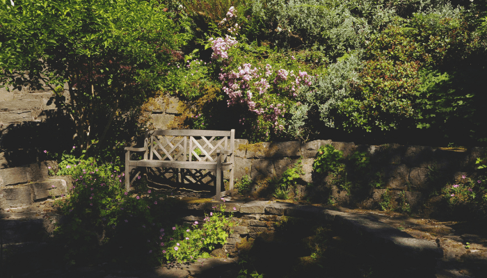 Meditação no Jardim