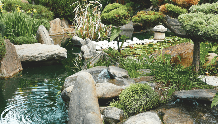 garden meditation