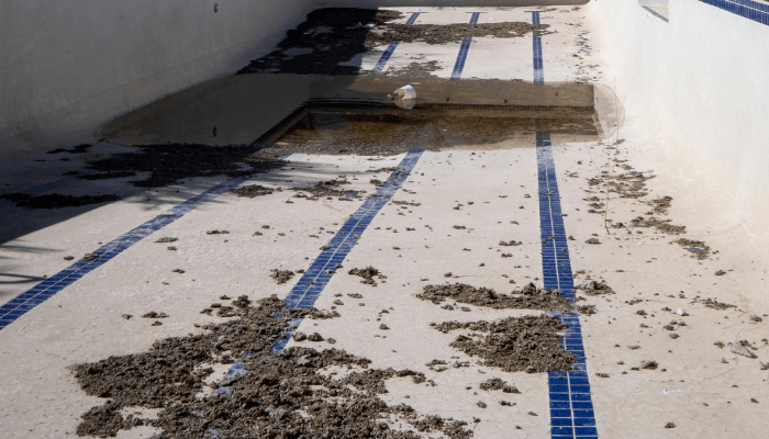 Limpar uma Piscina