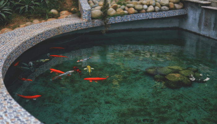 Piscinas Orgânicas