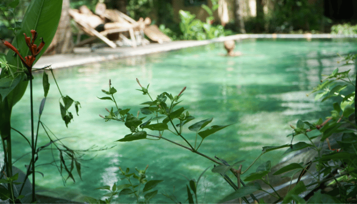organic pools