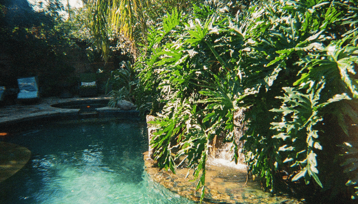Piscinas Orgânicas