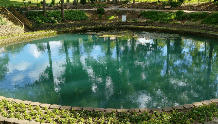 organic pools