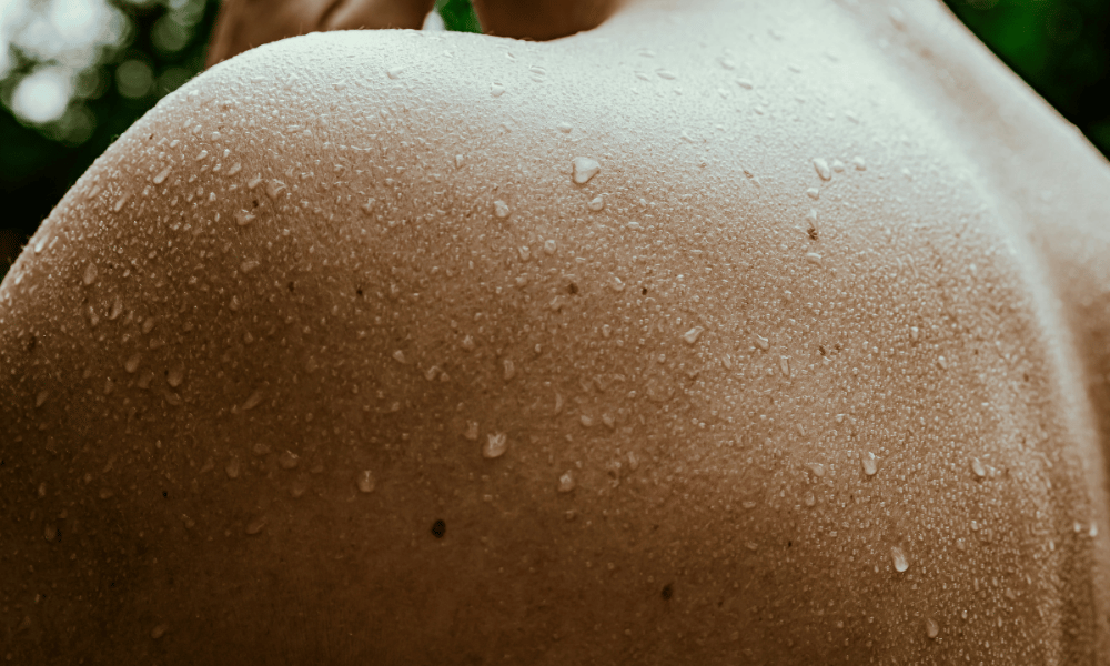 best sauna types